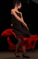 flamenco.jpg